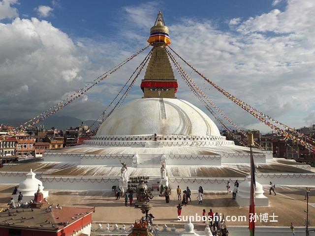 dha蛋白粉功效與作用