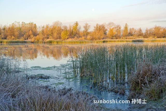 夢見水漫-夢見水漫出-夢見水漫過橋
