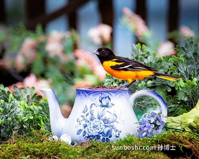 雄黃泡酒的功效與作用-雄黃泡酒對豬的功效與作用