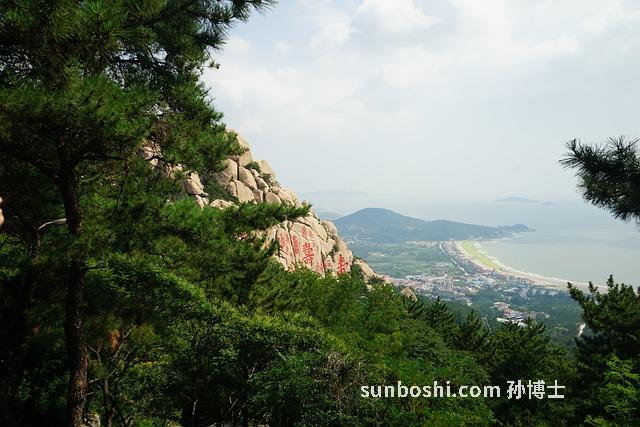 嶗山菇的功效與作用