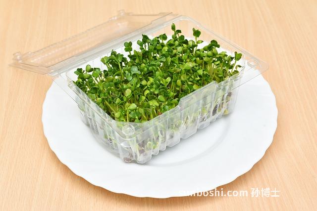 蕎麥芽的功效與作用-野蕎麥芽的功效與作用