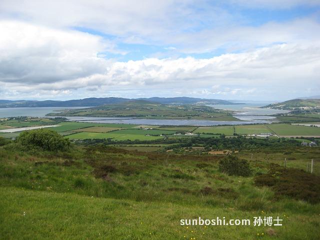 寸云的功效與作用-寸云防風功效與作用-中藥寸云作用與功效與作用