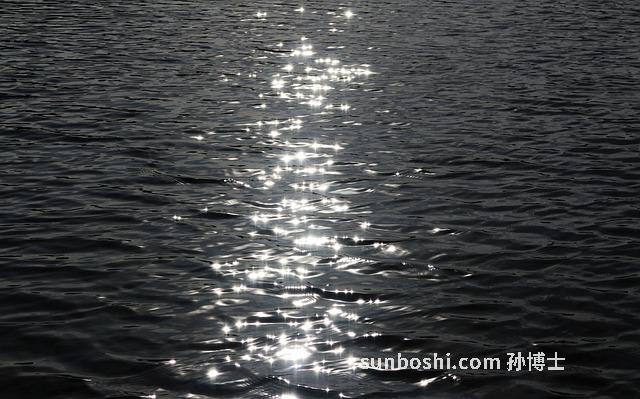 海聳絲功效與作用