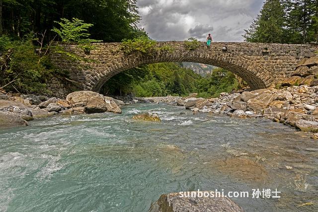 aa酵素的作用與功效