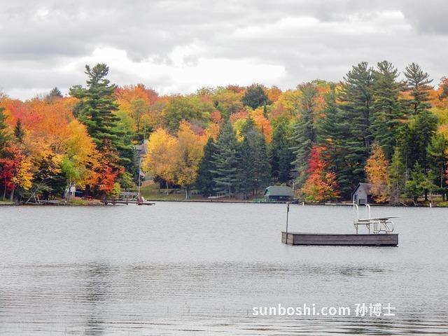 水紅子的功效與作用