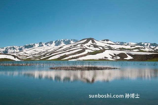 山漆的功效與作用