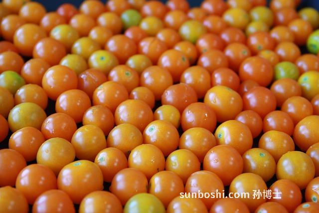 小黃番茄的功效與作用