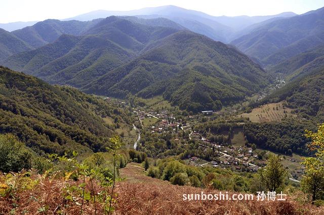 老山參的功效與作用