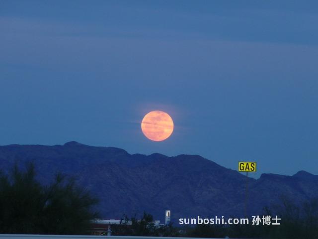 茨術的功效與作用-連子茨術的功效與作用
