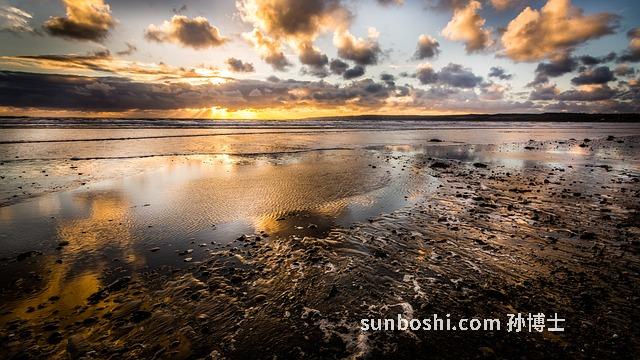 法落海的功效與作用