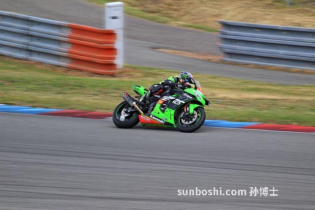 川地龍的功效與作用-中藥川地龍功效與作用-川地龍外用的功效與作用