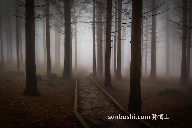 綠幽靈貔貅功效與作用