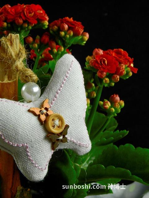 珍珠枕頭功效與作用