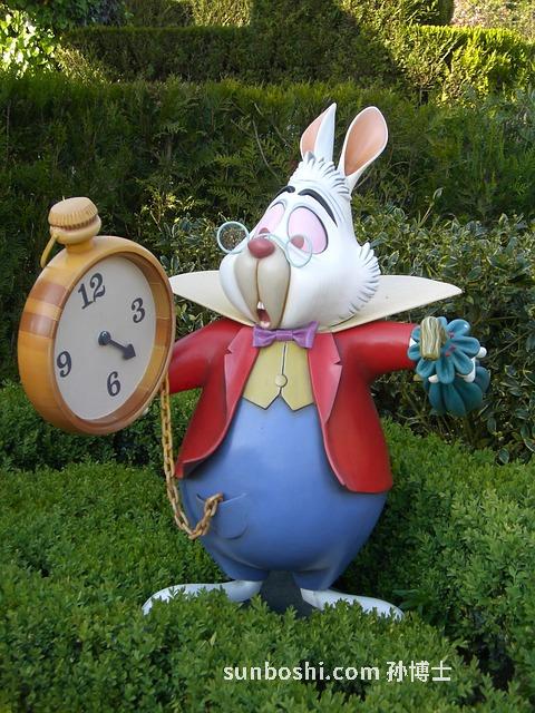 兔子絲的功效與作用-炒兔子絲的功效與作用