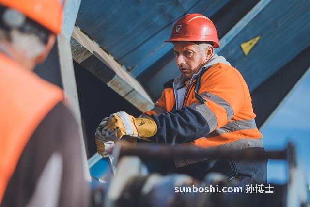 倒吊黃花功效與作用