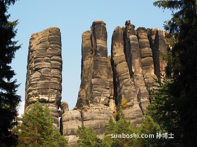 角針的功效與作用-羚羊角針劑功效與作用-皂角針的功效與作用