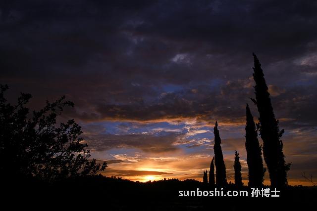 核膠的作用與功效
