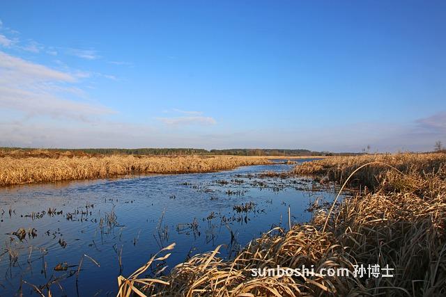 艾草水的功效與作用-艾草水泡腳功效與作用-艾草水洗澡的功效與作用
