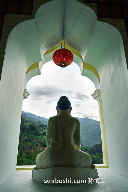 馬來回的功效與作用-馬來回草的功效與作用