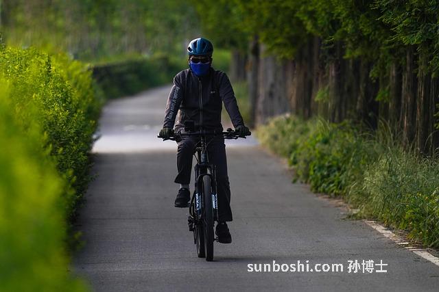 蘇術的功效與作用-復蘇術的功效與作用