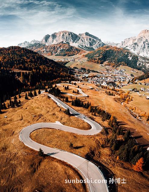 路路通的功效與作用圖