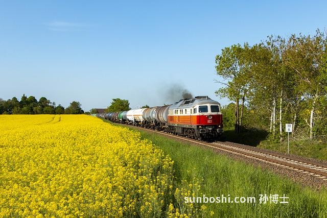 青菜籽的功效與作用-日本青菜籽油的作用與功效