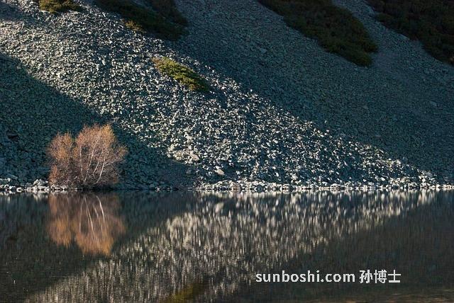 斯拿水作用與功效