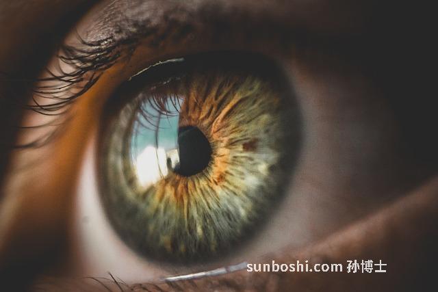 眼睛蛇膽的功效與作用