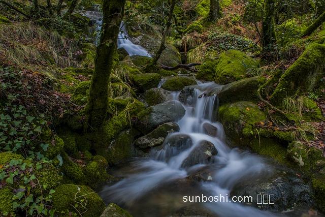 草本水的功效與作用