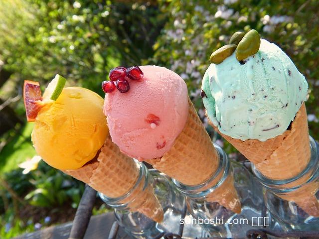 芒果籽的功效與作用-芒果籽油的功效與作用-非洲芒果籽的作用與功效