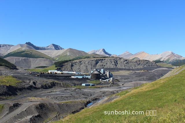 艾碳的功效與作用