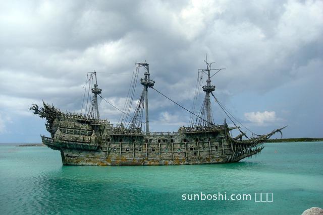 黑珍珠葡萄功效與作用