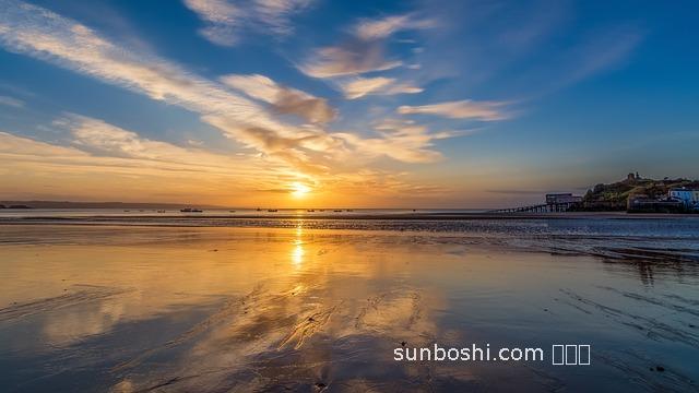 金沙騰的功效與作用-金沙騰的圖功效與作用