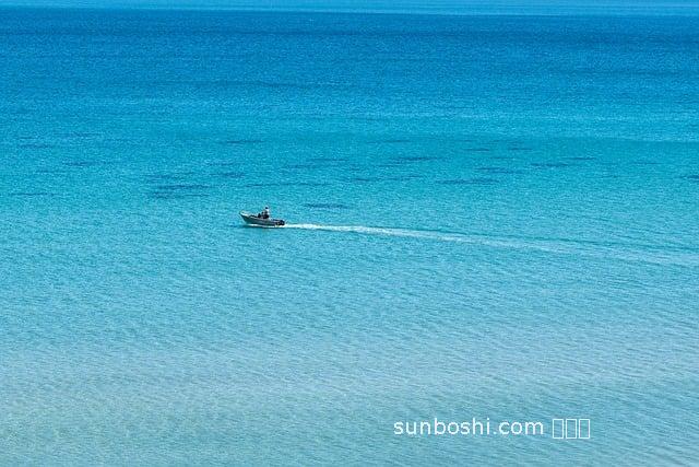銀爾蓮子功效與作用