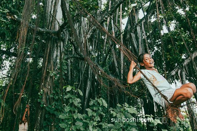 苦生根的功效與作用-苦生根的功效與作用和圖片