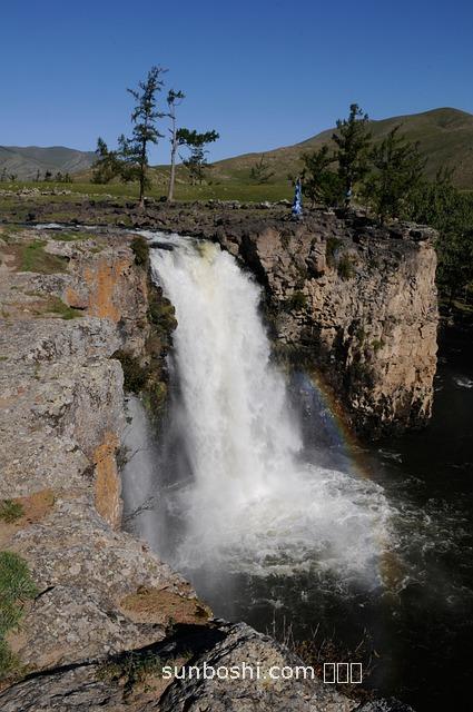 昆侖雪蓮的功效與作用
