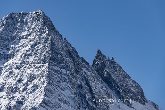 野姑娘果的功效與作用