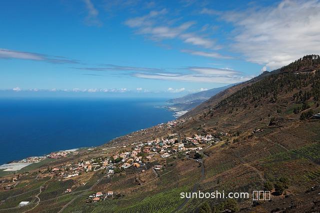 馬連安的作用與功效