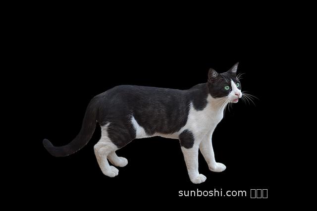 夢見碗不見了-夢見飯碗不見了-夢見吃飯的碗不見了