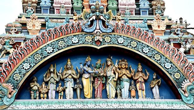 杜婆茶的功效與作用