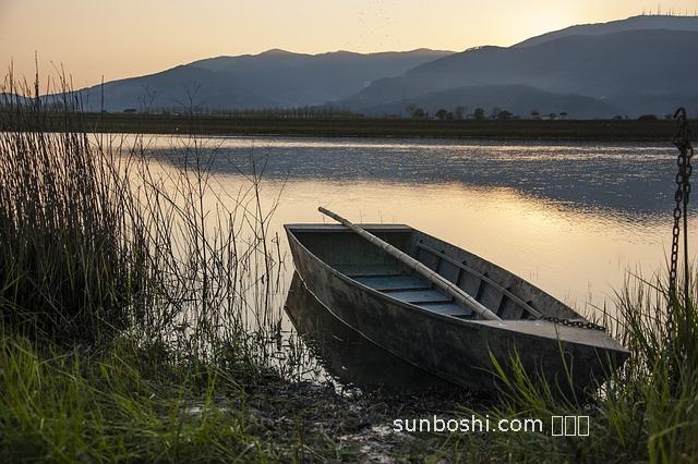 水針草的功效與作用