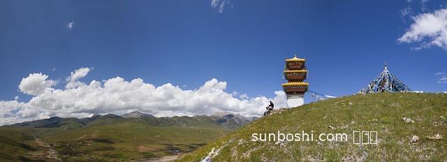 青海雪菊的功效與作用