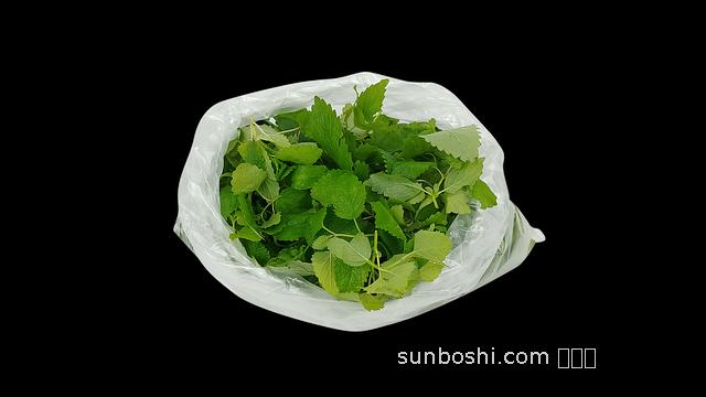 巴戟膏的功效與作用