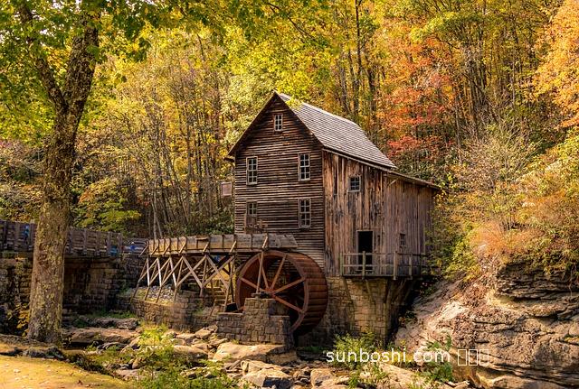 權健磨粉的功效與作用