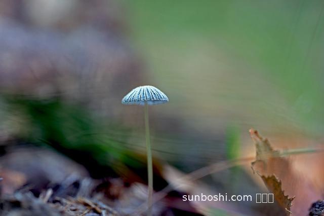 夢見暗示-夢見相親對象暗示什么-夢見搭車暗示什么
