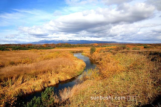 夢(mèng)見把草-夢(mèng)見把草拔掉