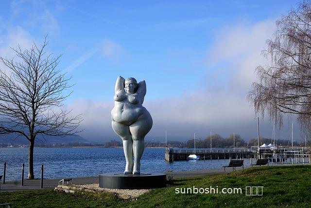 維康寶片的作用與功效-維康寶片的功效與作用成分