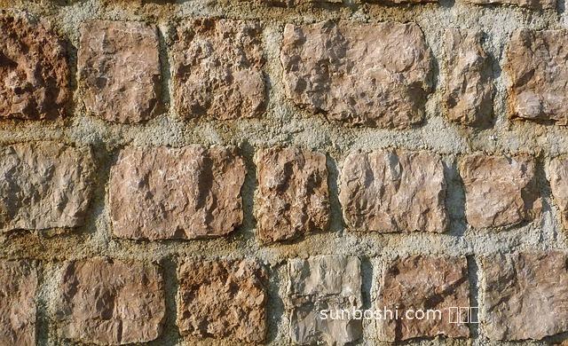 權(quán)建牡蠣的功效與作用