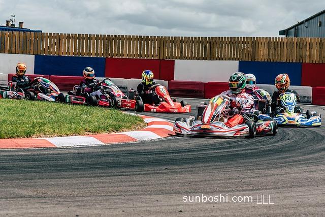 路丁茶的功效與作用