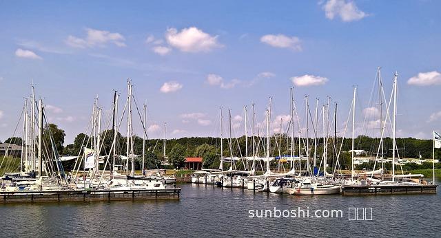 德國瑪卡的功效與作用